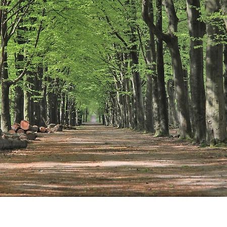 Gemoderniseerd En Modern Chalet Bij Het Bos Rijs Zewnętrze zdjęcie